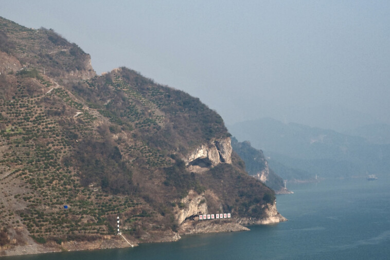 china’s-‘puppy-mountain’-has-become-a-must-see-destination-for-tourists-and-their-dogs:-‘magical-and-cute’