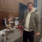 nyc-gym-ceo-unleashed-profanity-laced-tirade-against-famous-neighbor-over-unleashed-dog:-video