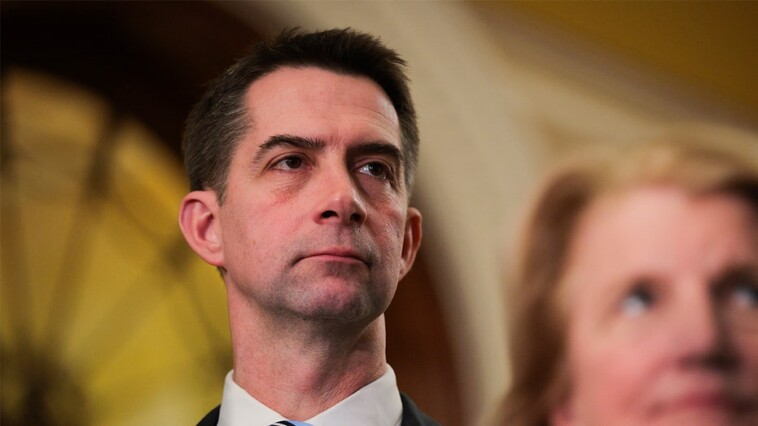 top-intel-republican-tom-cotton-seeking-re-election-to-senate-in-2026