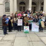 protesters-demand-ban-on-artificial-grass-in-nyc-public-parks,-which-they-say-will-poison-kids-with-‘forever-chemicals’