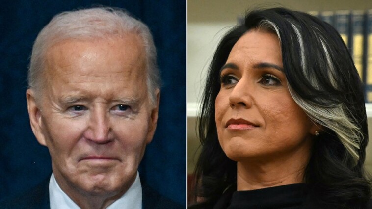 gabbard-says-biden-admin-ignored-‘highly-inappropriate’-chats-happening-at-national-security-agencies