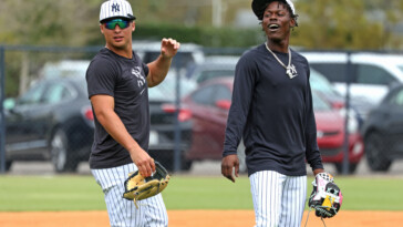 yankees’-unlikely-double-play-duo-is-on-a-quest-to-become-one-up-the-middle