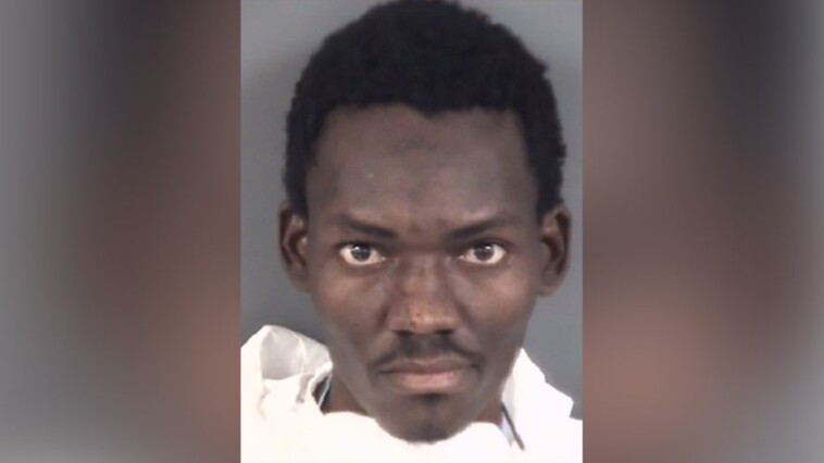 haitian-man-charged-in-nc-triple-murder-flew-into-us-under-biden-migrant-flights-program:-ice