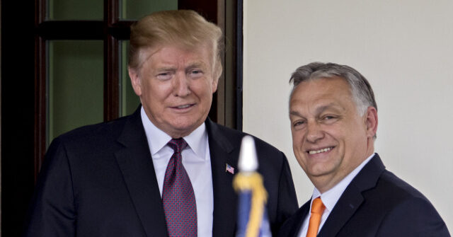 hungary’s-viktor-orban-backs-trump-after-zelensky’s-oval-office-meltdown:-trump-‘stood-bravely-for-peace’