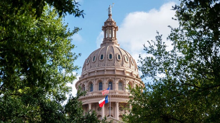 texas-lawmaker-proposes-bill-to-ban-gender-transition-treatment-for-everyone,-including-adults