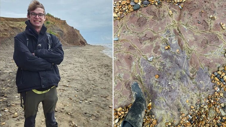 ancient-dinosaur-footprint-dating-back-100-million-years-discovered-near-coastal-town