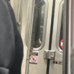 ‘diva’-rat-puts-on-raunchy-pole-performance-on-nyc-subway