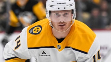 wild-add-depth-up-front,-land-nyquist-from-preds