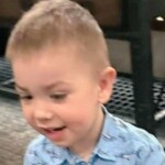 massive-search-effort-underway-after-2-year-old-disappears-from-his-front-yard-in-broad-daylight