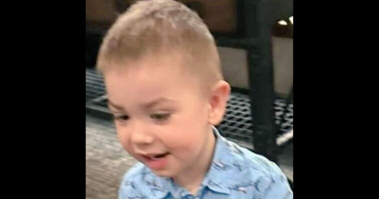 massive-search-effort-underway-after-2-year-old-disappears-from-his-front-yard-in-broad-daylight