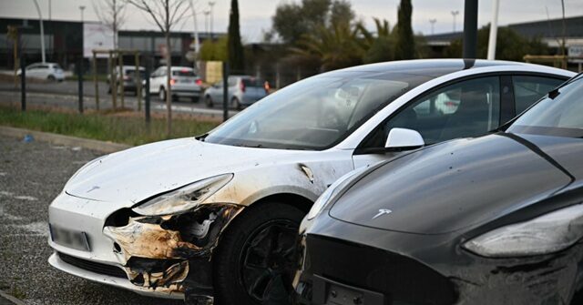 msnbc’s-menendez:-violence-against-tesla-dealers-is-‘protest’