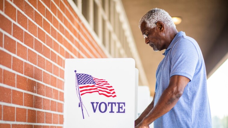 new-study-from-key-swing-state-shatters-popular-narrative-against-voter-id:-‘no-evidence’