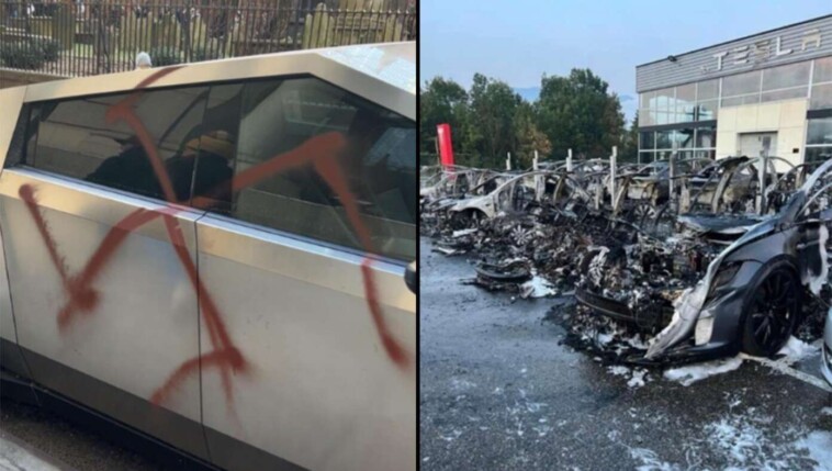 liberals-defeat-nazis-by-painting-swastikas-everywhere-and-torching-immigrant-businesses