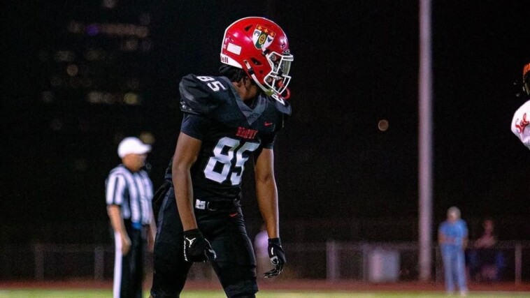 family-ties:-donovan-mcnabb-jr.-receives-offer-from-michael-vick,-norfolk-state