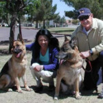 gene-hackman’s-dog-helped-lead-first-responders-to-legendary-actor’s-body-inside-new-mexico-home