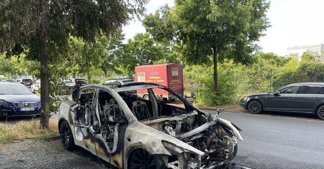 msnbc’s-melber:-people-committing-anti-tesla-violence-are-‘people-who-protest’-tesla