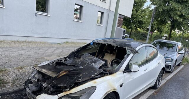 moulton:-attacks-on-teslas,-dealerships-are-‘a-protest’