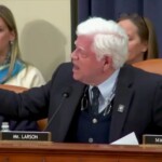 house-dem-goes-on-screaming-rant-against-elon-musk,-doge:-‘shame!’