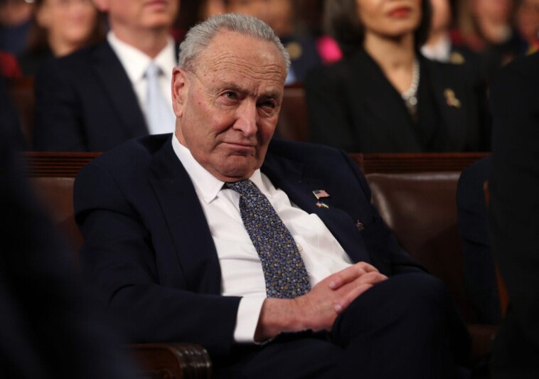 schumer-caves-in-shutdown-showdown