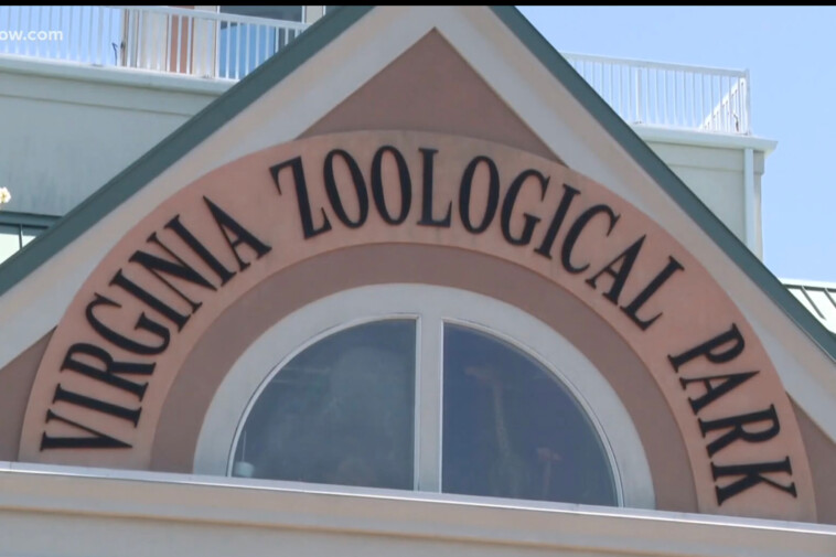 virginia-zoo-with-no-gorillas-in-custody-forced-to-deny-rumors-of-escaped-gorilla