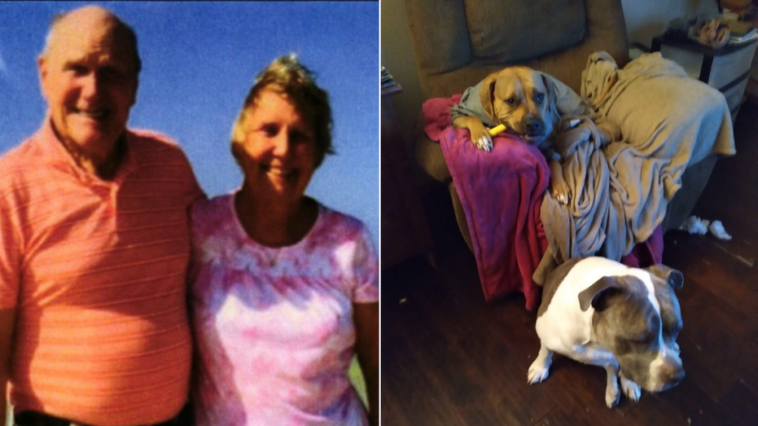 ohio-grandmother-mauled-to-death-by-pit-bulls-while-‘peacefully-gardening’:-lawsuit