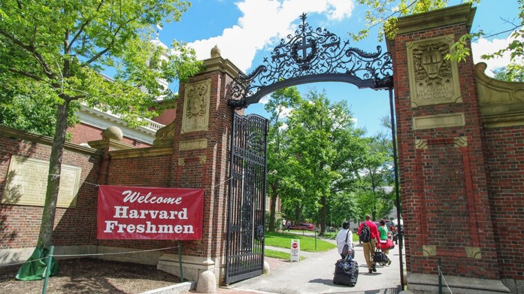 harvard-offers-free-tuition-to-students-whose-families-make-$200k-or-less-per-year