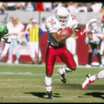 ex-nfl-rb-leshon-johnson-indicted-on-federal-dogfighting-charges