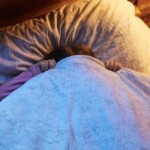 child-tells-babysitter-there’s-a-monster-under-the-bed.-babysitter-looks,-gets-shock-of-her-life