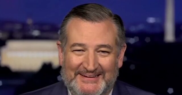 ted-cruz:-democrats-‘don’t-stand-for-anything-other-than-rage-and-hatred’