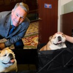 babydog-bridges-‘pawtisan’-divide-in-the-senate-on-social-media:-‘she-knows-no-political-bias’