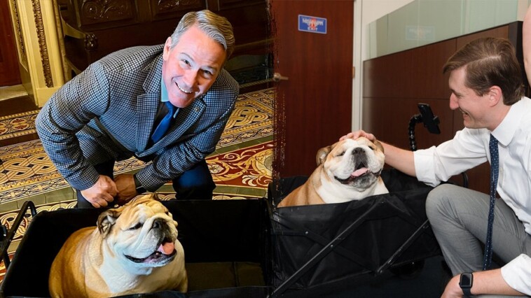 babydog-bridges-‘pawtisan’-divide-in-the-senate-on-social-media:-‘she-knows-no-political-bias’