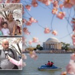 tourists-question-if-simple-act-is-‘illegal’-amid-cherry-blossom-season,-park-ranger-reveals-answer