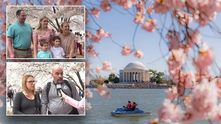 tourists-question-if-simple-act-is-‘illegal’-amid-cherry-blossom-season,-park-ranger-reveals-answer
