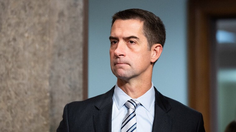 tom-cotton-should-go-further:-an-endowment-tax-should-not-exclude-big-foundations