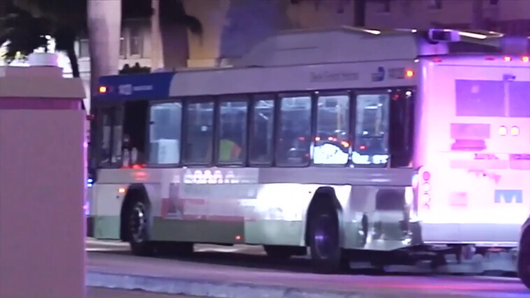 miami-bus-driver-fatally-shoots-two-passengers-during-overnight-fight:-police