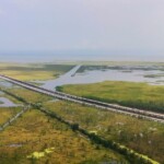 82-year-old-cajun-ends-up-in-nightmare-situation-when-crawfishing-goes-wrong