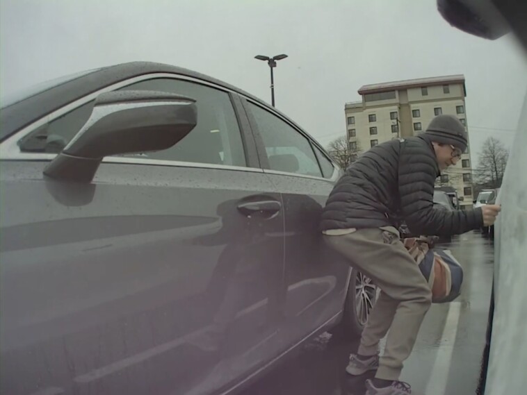 furious-tesla-owner-confronts-elon-musk-hater-allegedly-caught-scrawling-swastika-on-car