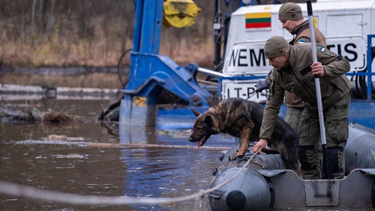 lithuania-deploys-dogs-in-search-for-final-missing-us-soldier-after-vehicle-sank-in-swamp