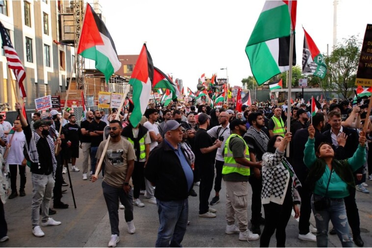 united-states-confirms-revocation-of-visas-for-300-pro-hamas-activists