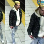maniac-shoves-man-onto-nyc-subway-tracks-in-fit-of-rage-over-victim-smoking-on-platform:-sources