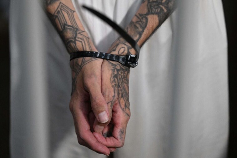 fbi-arrests-‘high-ranking’-ms-13-member-accused-of-‘orchestrating’-11-murders