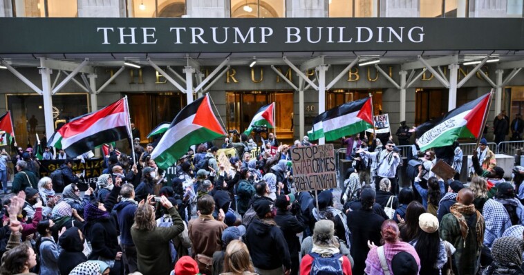 pro-palestinian-crowd-silent-as-hamas-admits-the-truth-about-its-war-with-israel