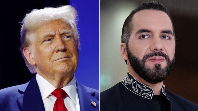 trump-invites-el-salvador’s-bukele-to-white-house-for-‘working-visit’