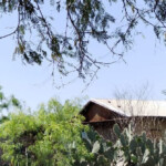 six-torsos-discovered-in-mexican-cartel-killing-field-near-texas-border