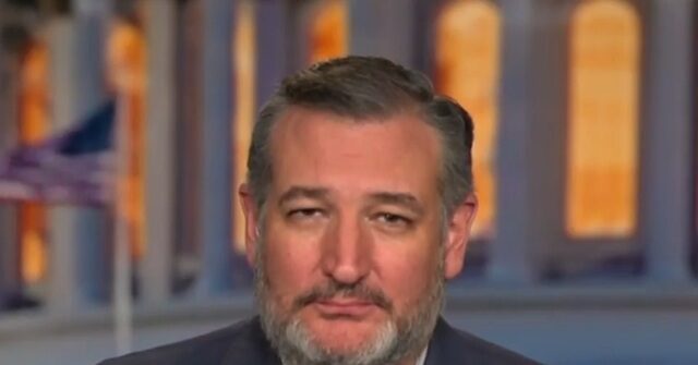 cruz:-‘tariffs-are-a-tax-on-consumers,’-hopefully-we-spur-other-countries-to-lower-theirs