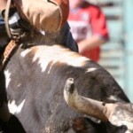 rising-bull-riding-star,-24,-trampled-to-death-at-rodeo