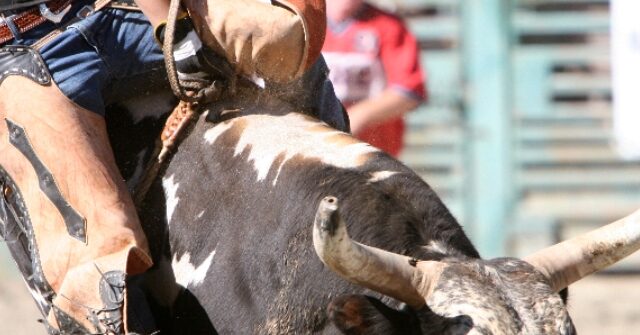 rising-bull-riding-star,-24,-trampled-to-death-at-rodeo