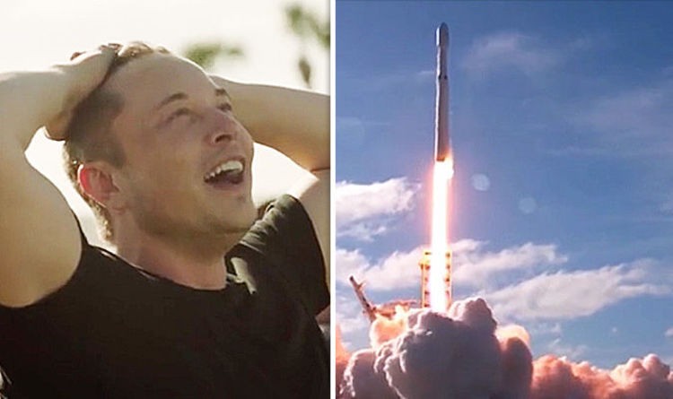 elon-musk’s-spacex/doge-activity-not-a-violation-of-federal-law