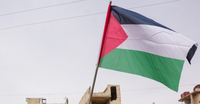 tunisian-teen-who-died-raising-palestinian-flag-celebrated-as-‘martyr’
