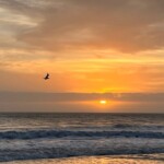 microdosing-spirituality:-how-our-everyday-attachments-connect-us-to-the-divine